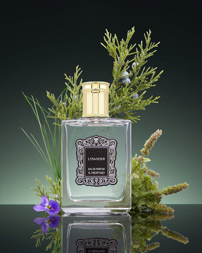 Lysander ライサンダ ー100ml